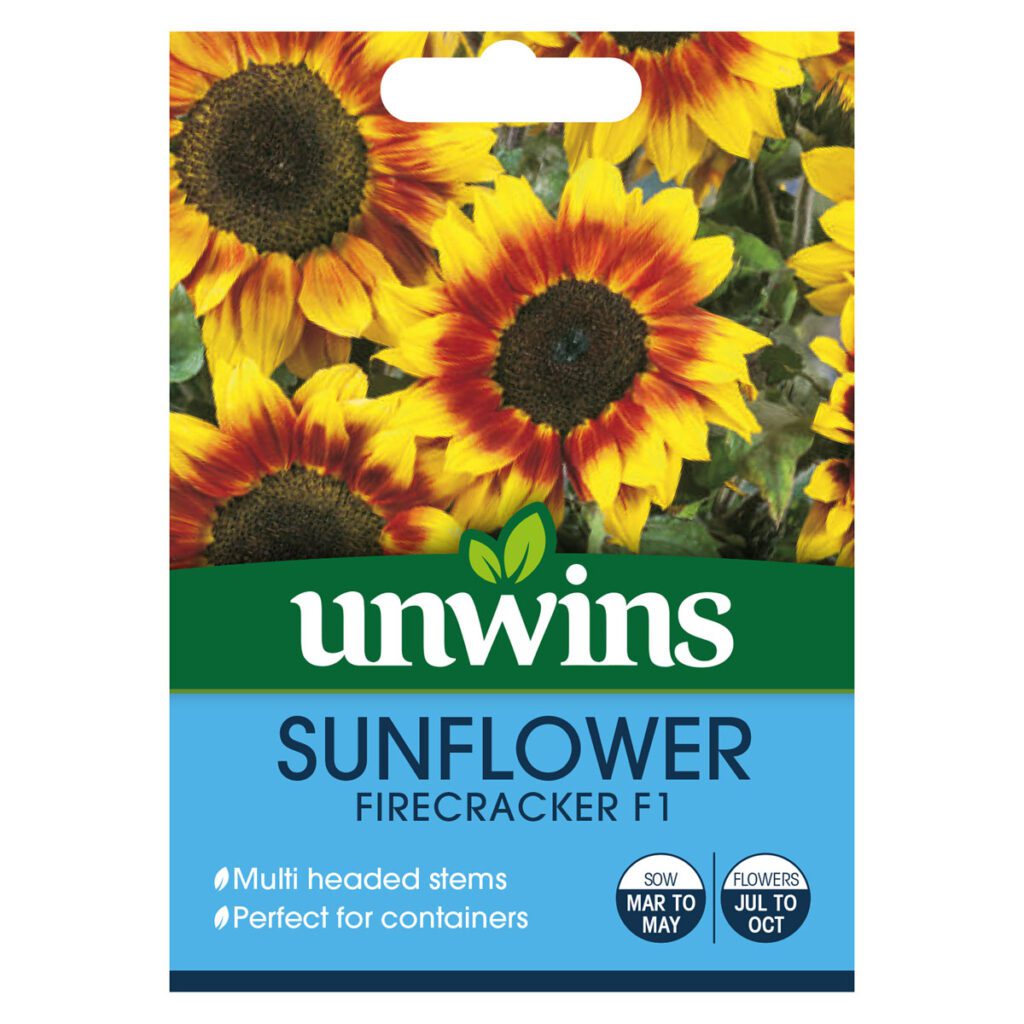 Unwins Sunflower Firecracker F1 Seeds 5051618016971 2
